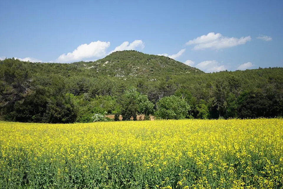 Puig Clarà