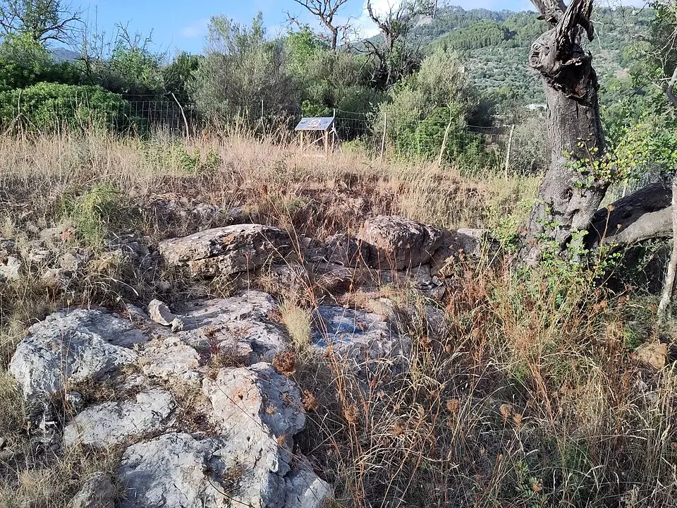 Conjunt prehistòric del Puig d'en Canals