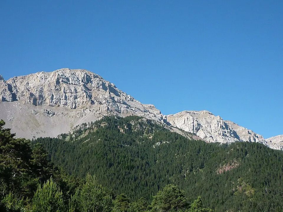 Vulturó