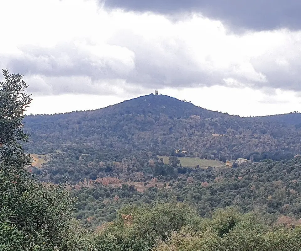 Puig Marí
