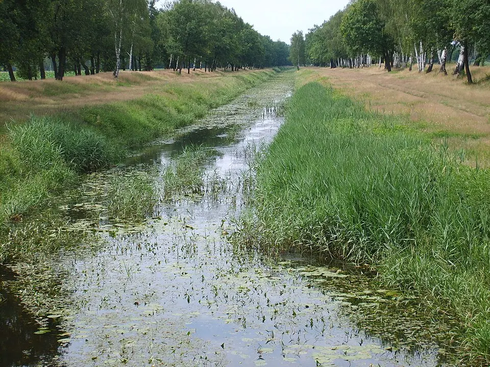 Image: S. John, Elsterwerda · CC BY 2.5 Pulsnitz
