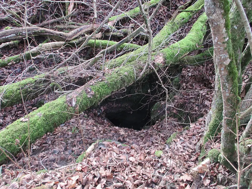 Bild: Calistemon · CC BY-SA 4.0 Pumperhöhle