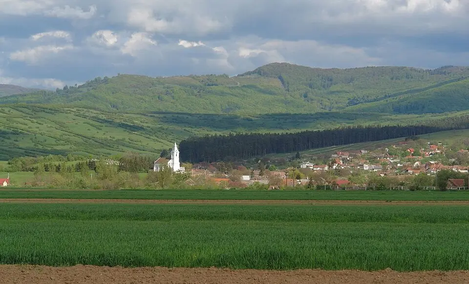 Tărlungeni
