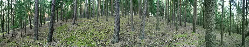 Image: F.Higer · CC BY-SA 3.0 AT Befestigte Höhensiedlung Singerkreuz