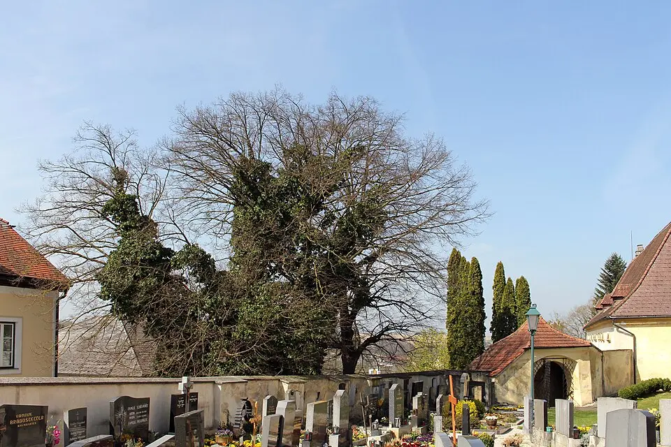 Image: Haeferl · CC BY-SA 3.0 AT Friedhof christlich