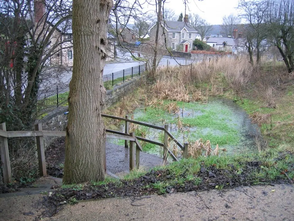 Tafarn-y-Gelyn