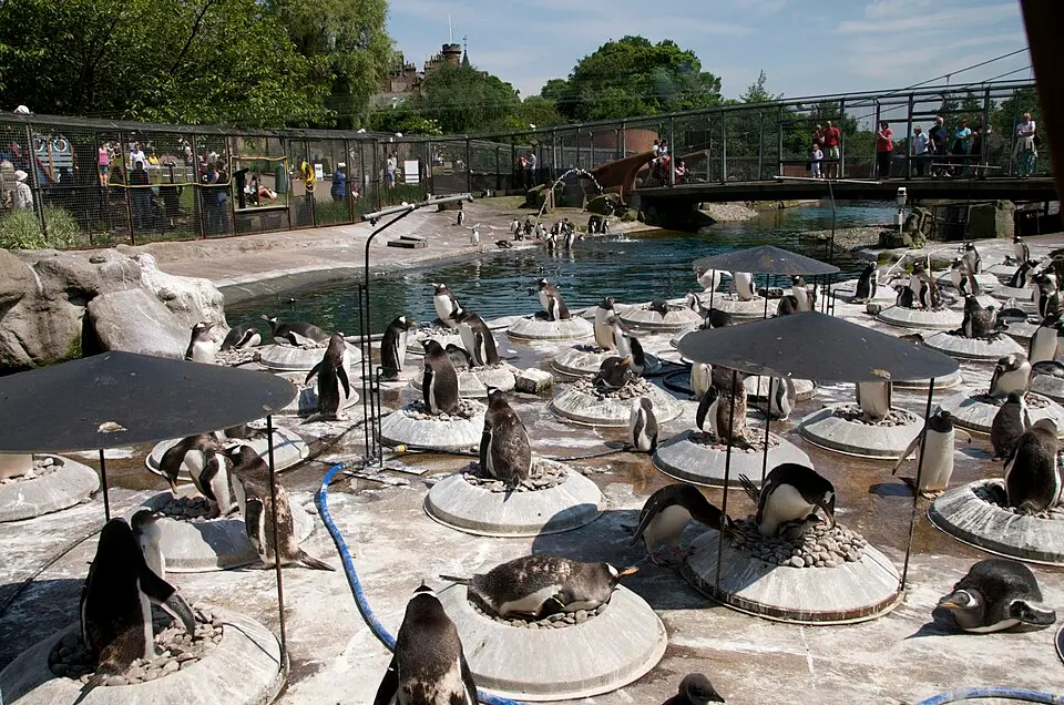 Edinburgh Zoo