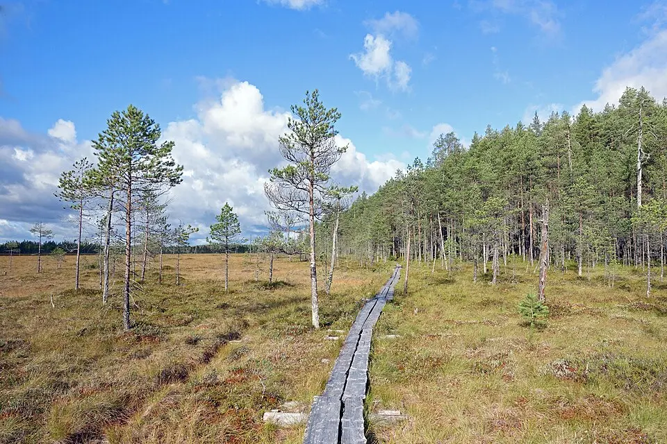 Pyhä-Häkki-Nationalpark