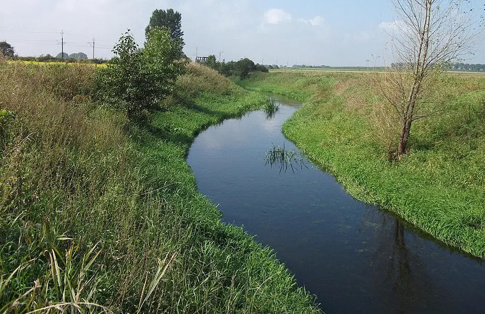 Wieluń
