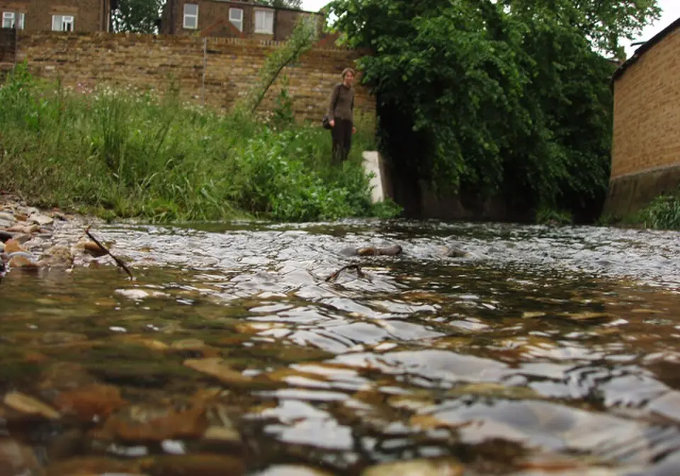 River Quaggy