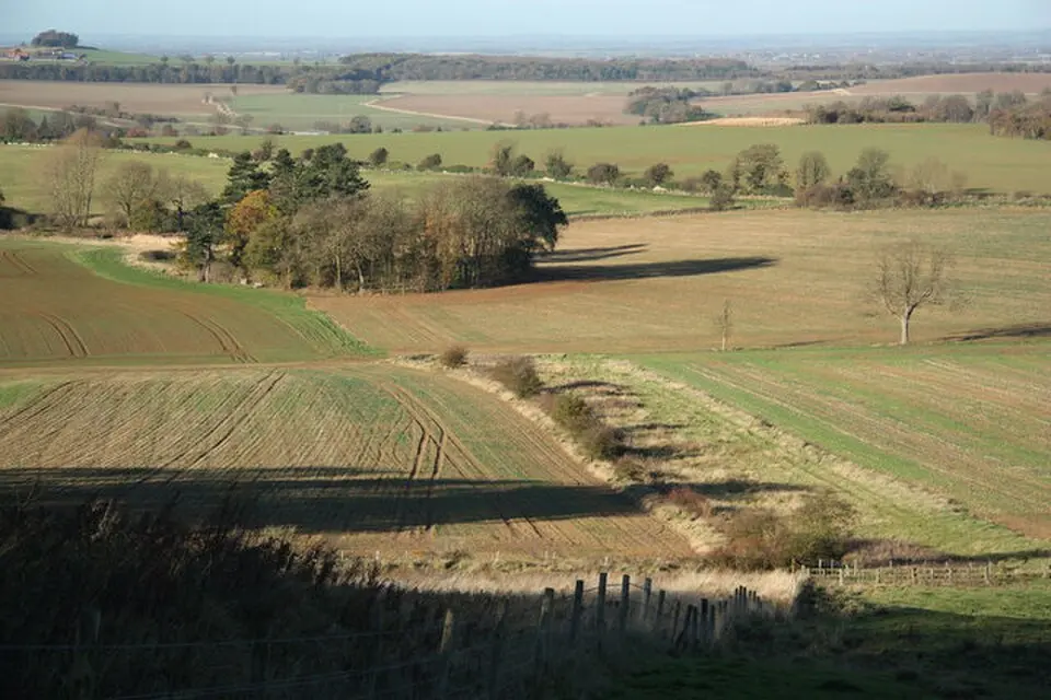 Belton and Manthorpe