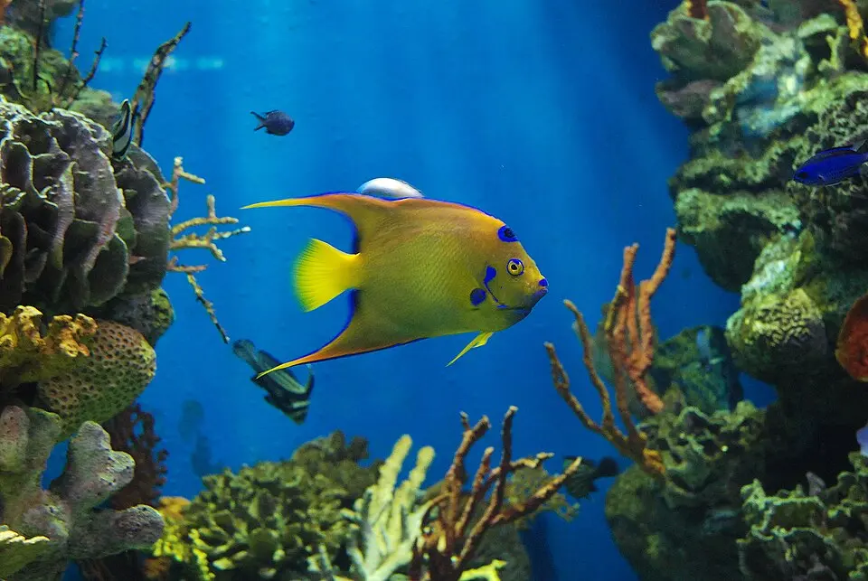 Aquarium de Barcelona