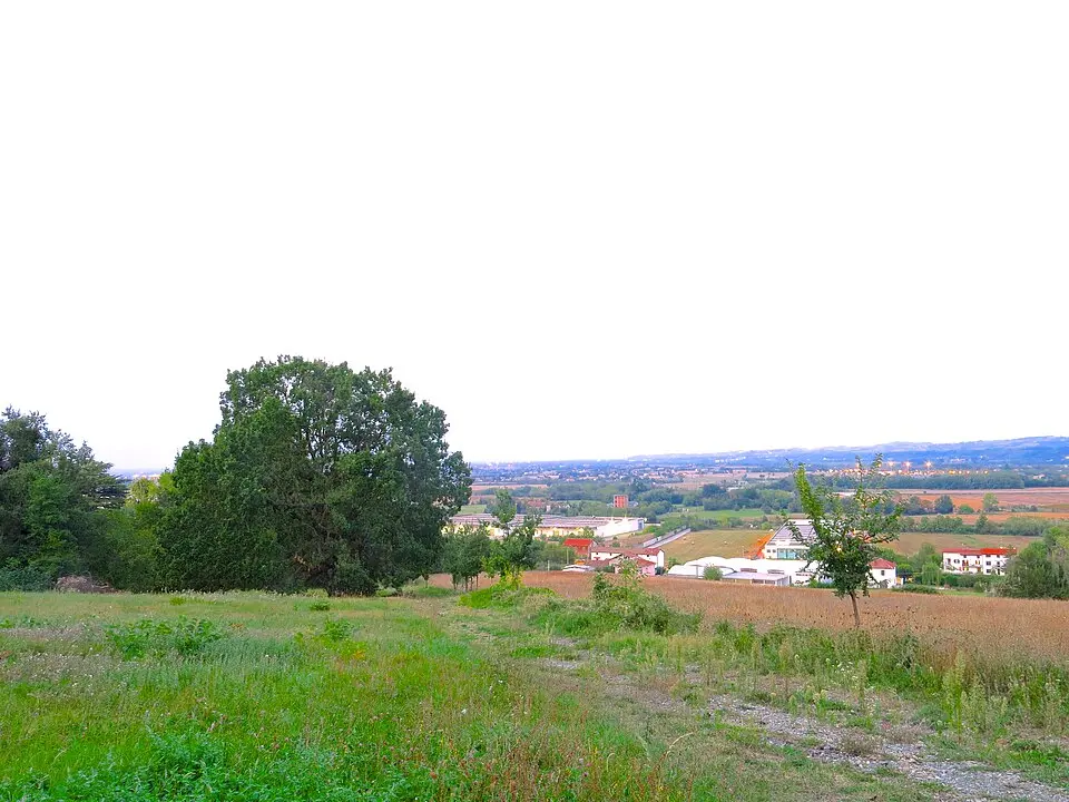 Barbellotta