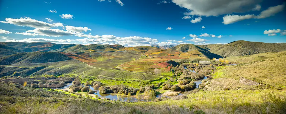Quinta de Ervamoira