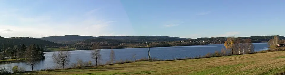Råsen