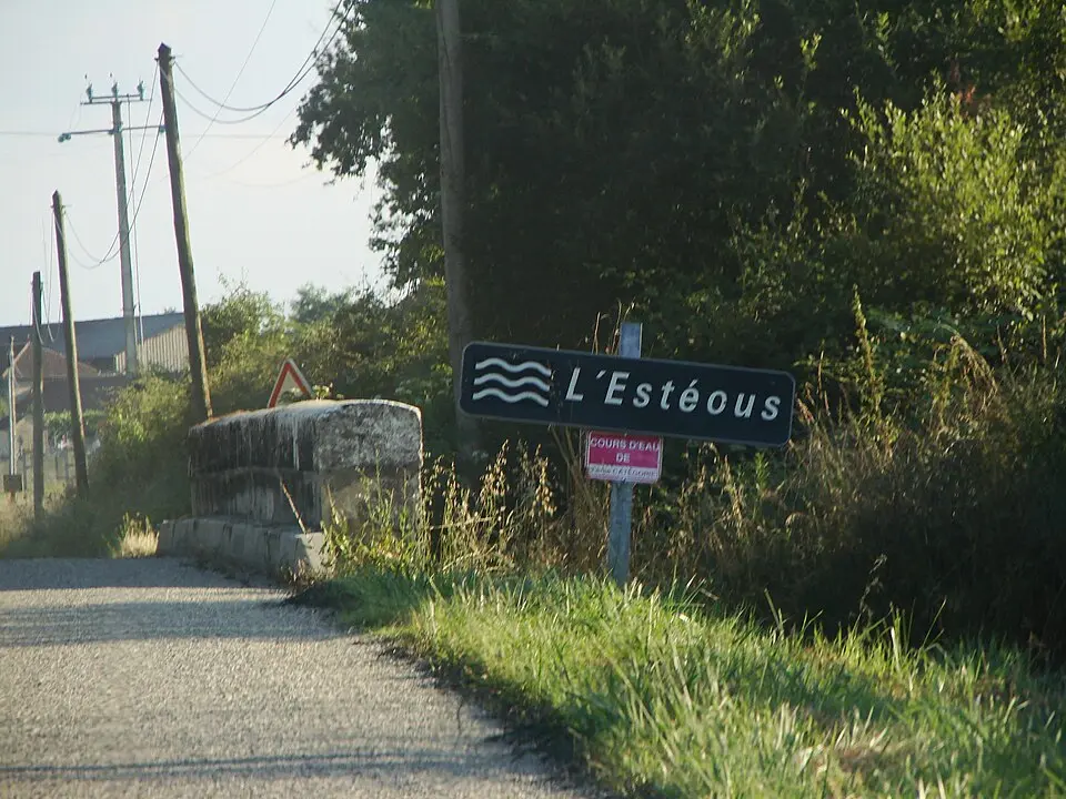 Estéous