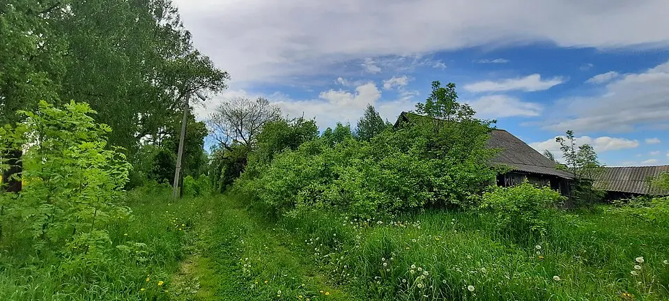Рабінаўка