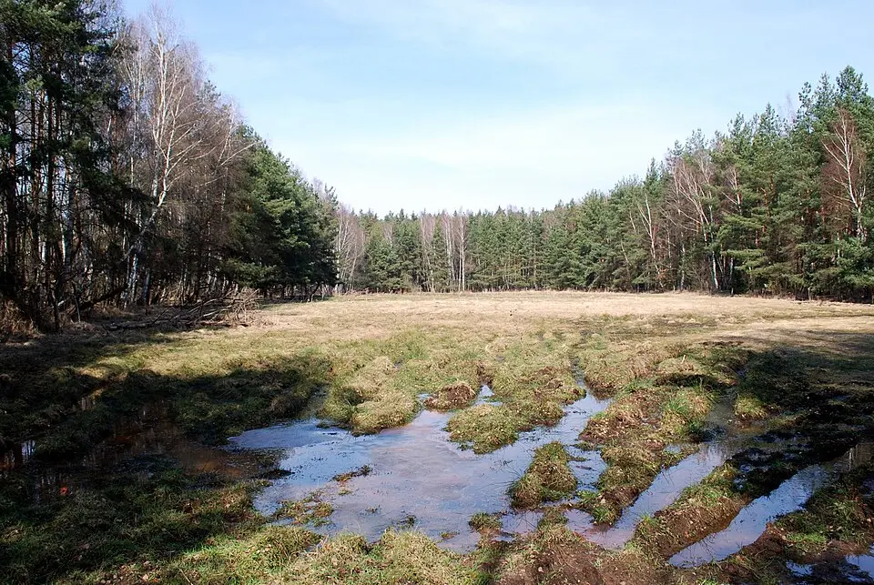 Hovízna