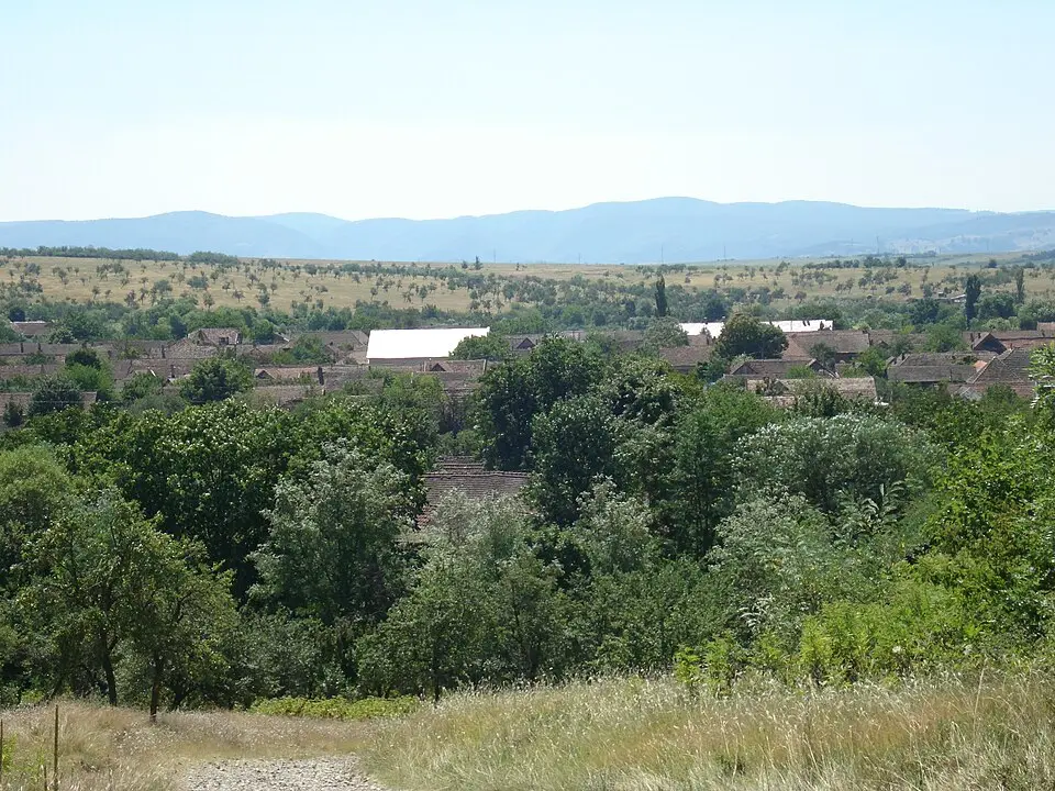 Răcășdia