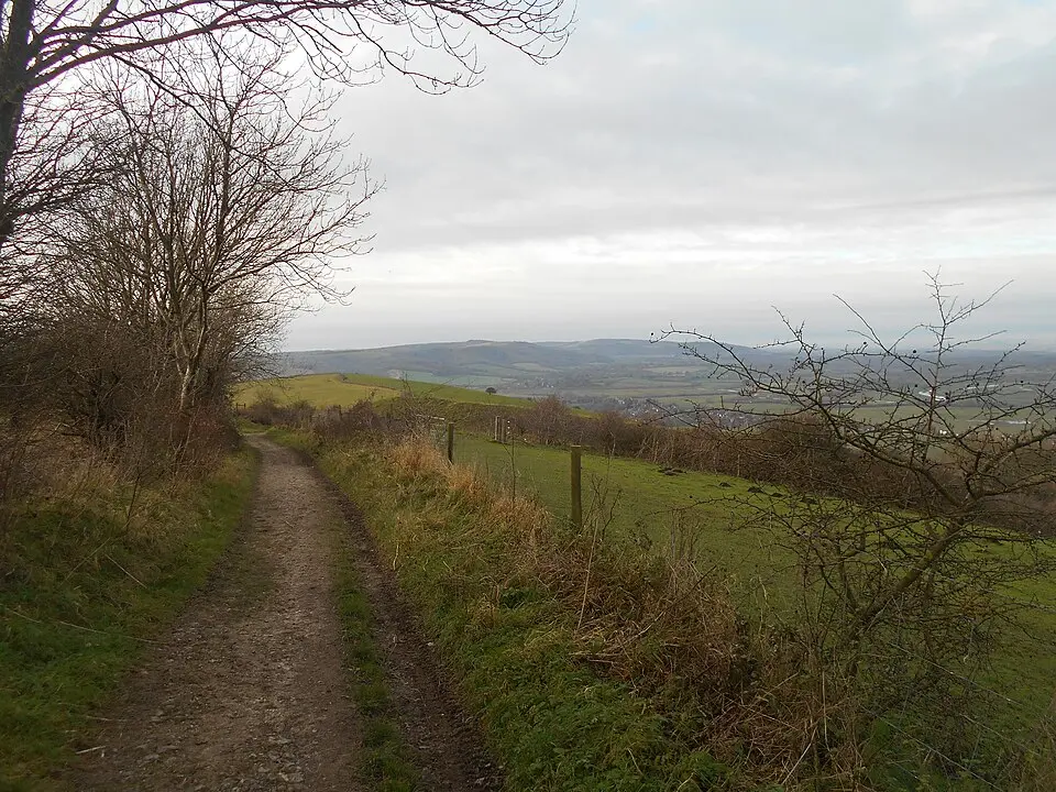 Rackham Banks: A cross dyke and Itford Hill style settlement on Rackham Hill, 900m SSE of Oldbottom Barn