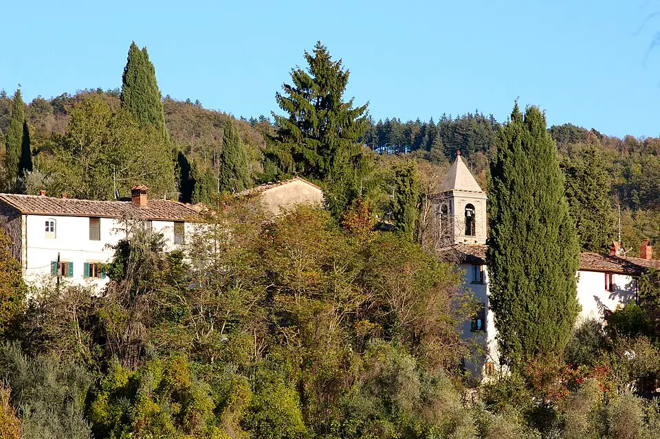 Selvole