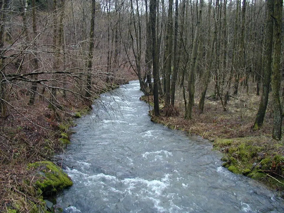 Uelfe
