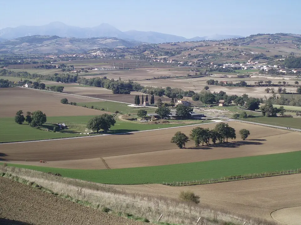 parc archéologique de Suasa