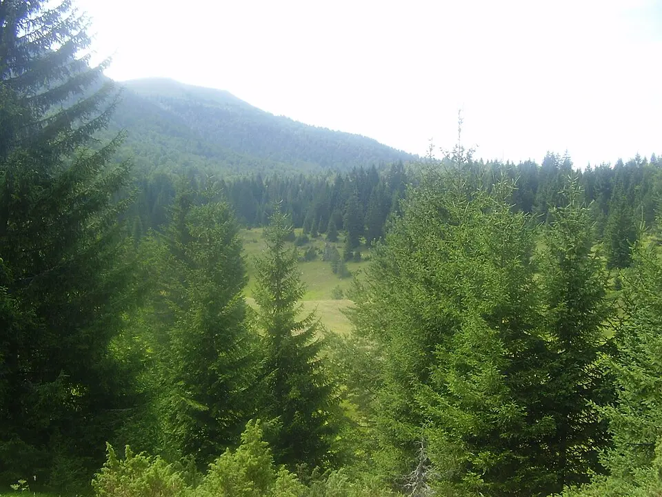 Raduša (planina)