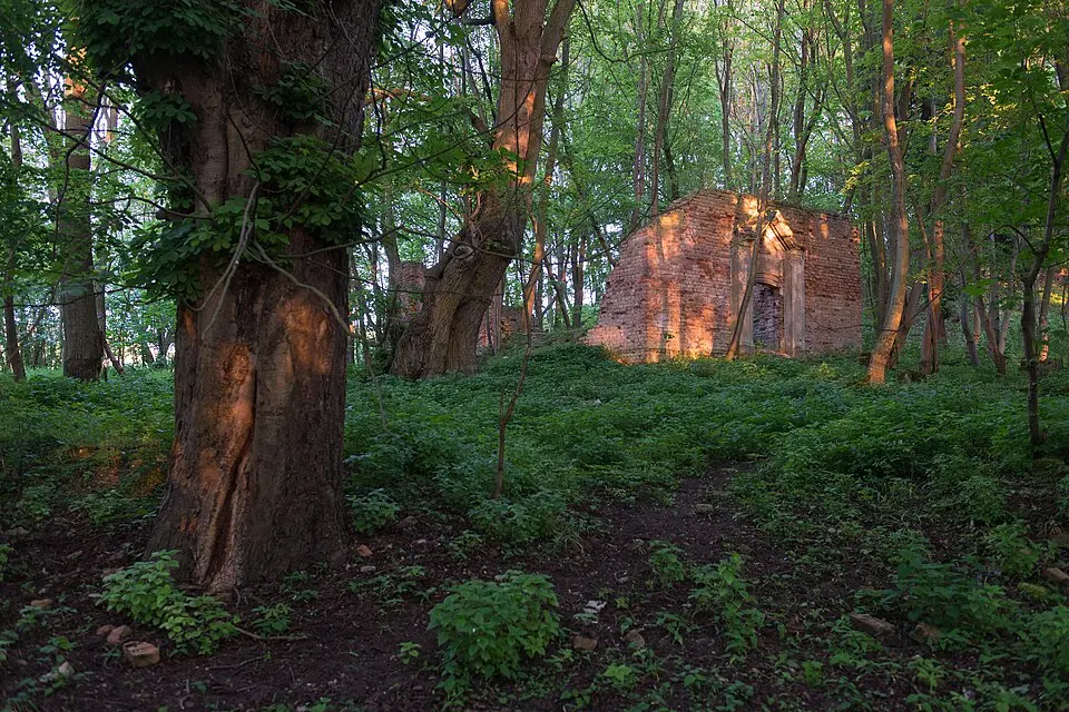 Park pałacowy