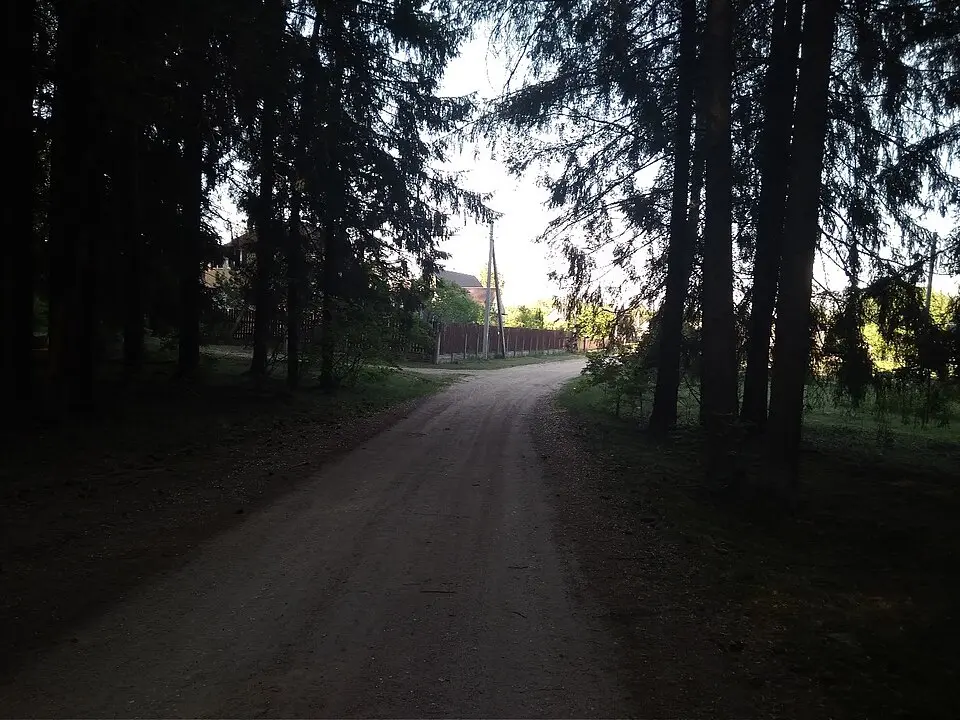Самадураўшчына