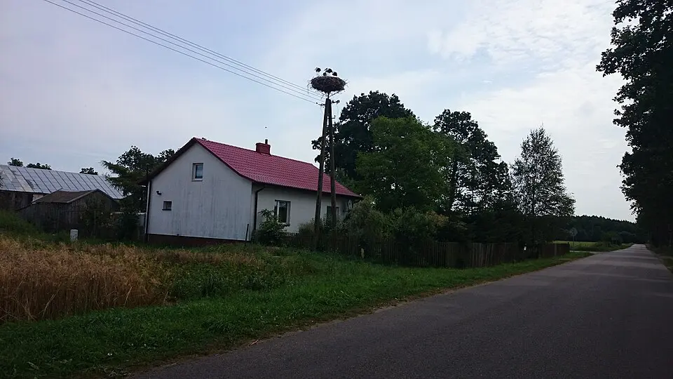 Radzimowice