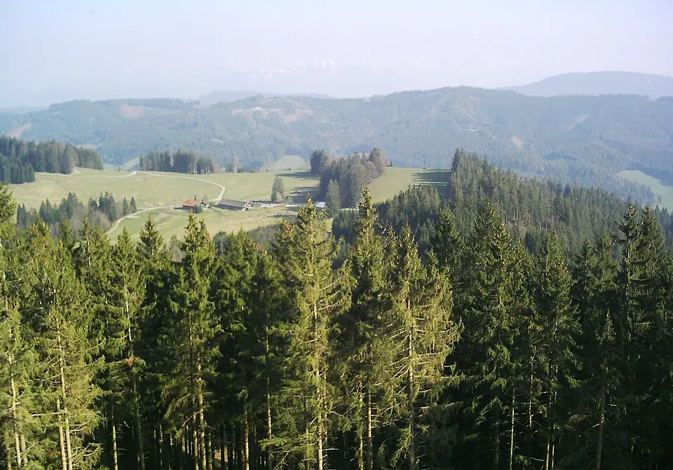 Raggenhorn