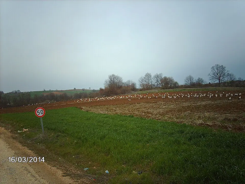 Necmiyeköy