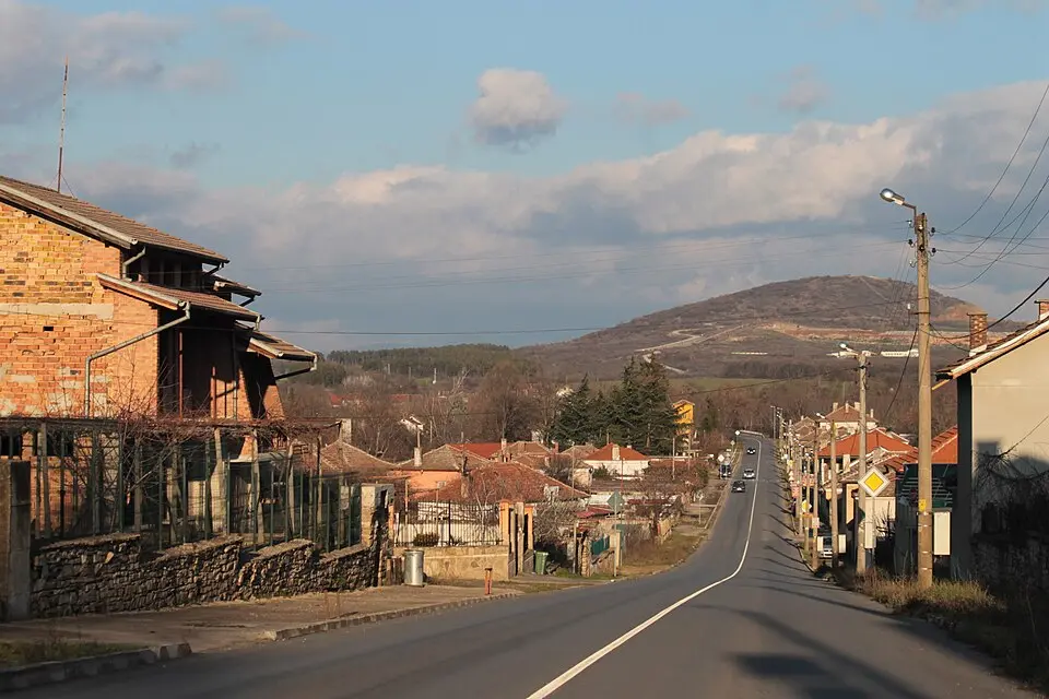 Ракитница
