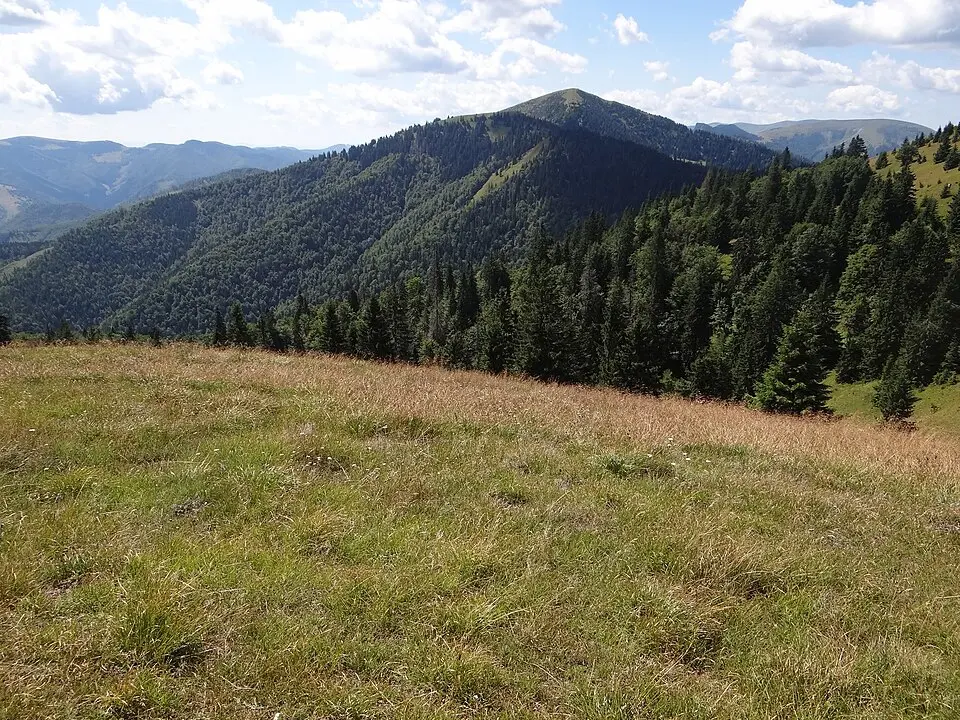 Tanečnica