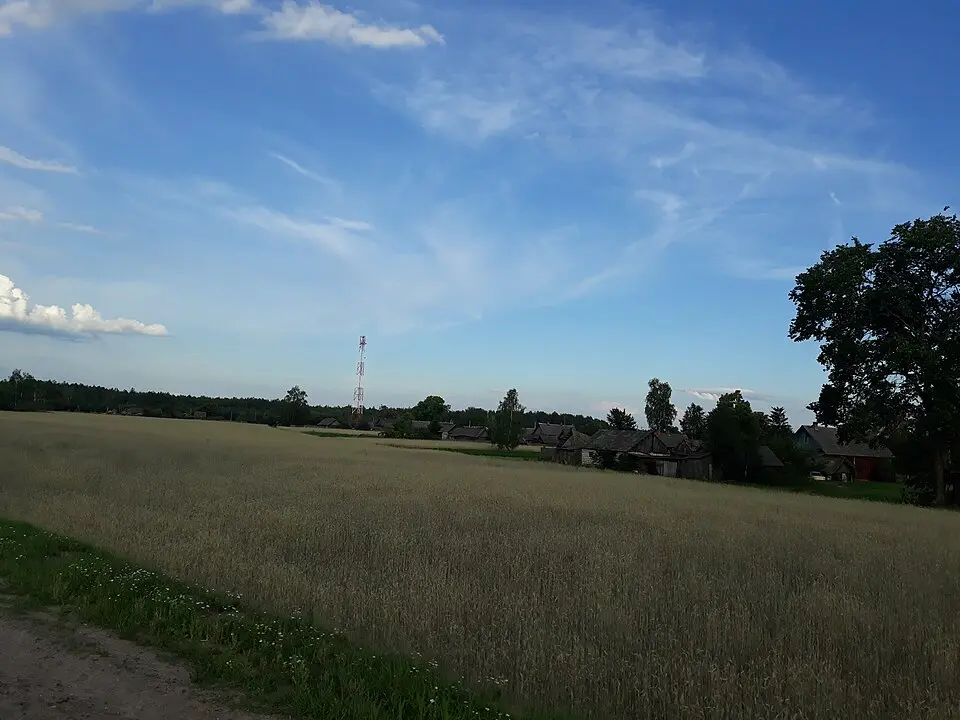Раманішчы