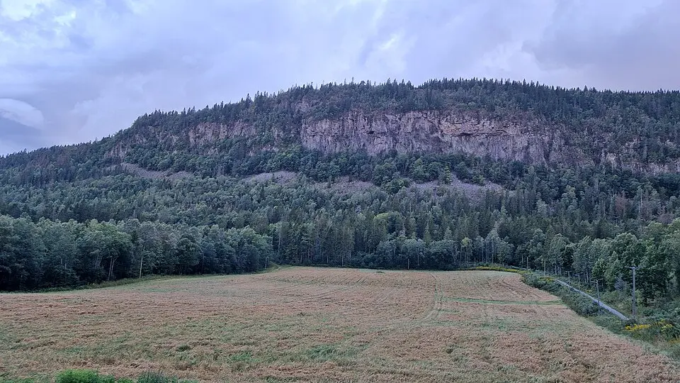 Ramsåsen naturreservat