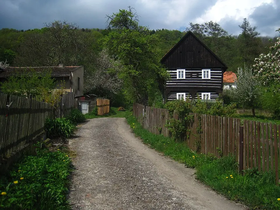 Rané