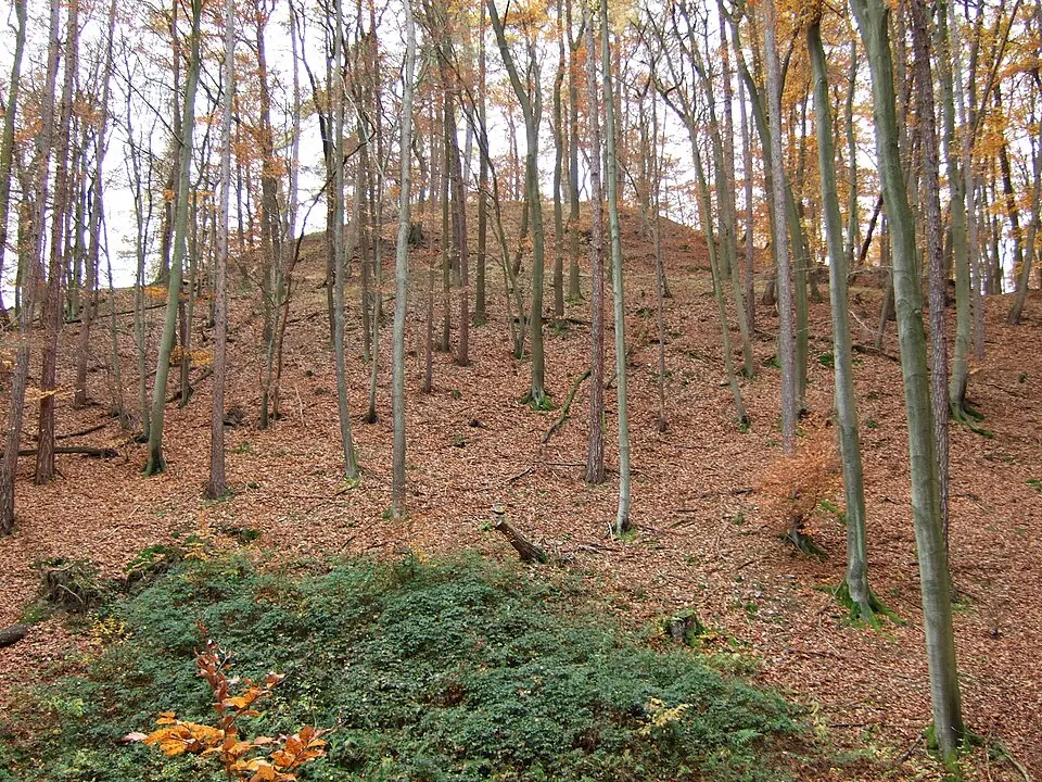 Randenburg