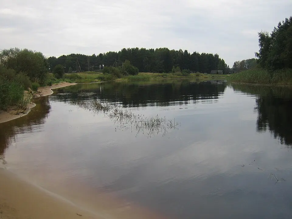 Rannapungerja