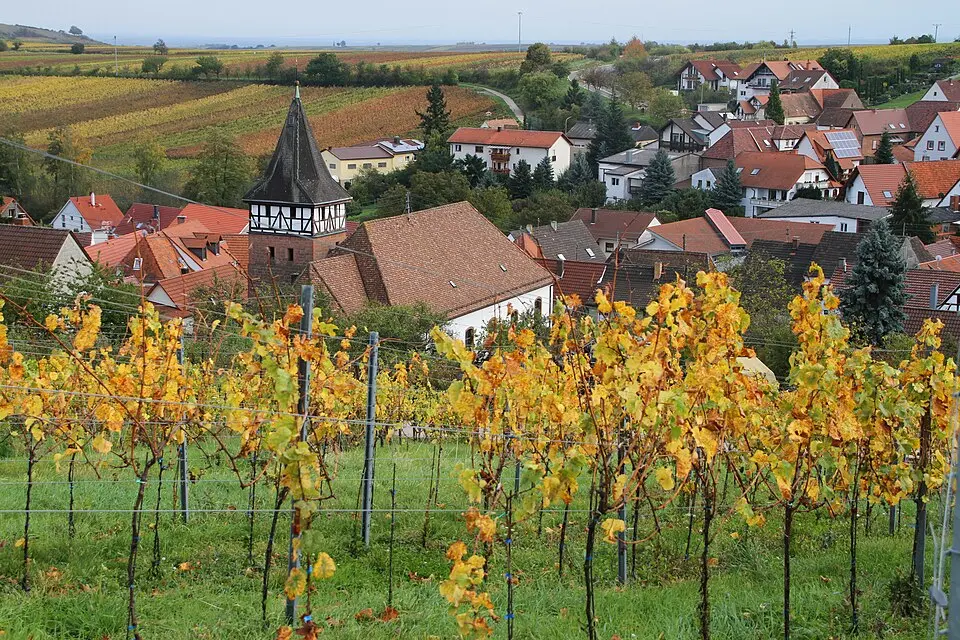 Ranschbach