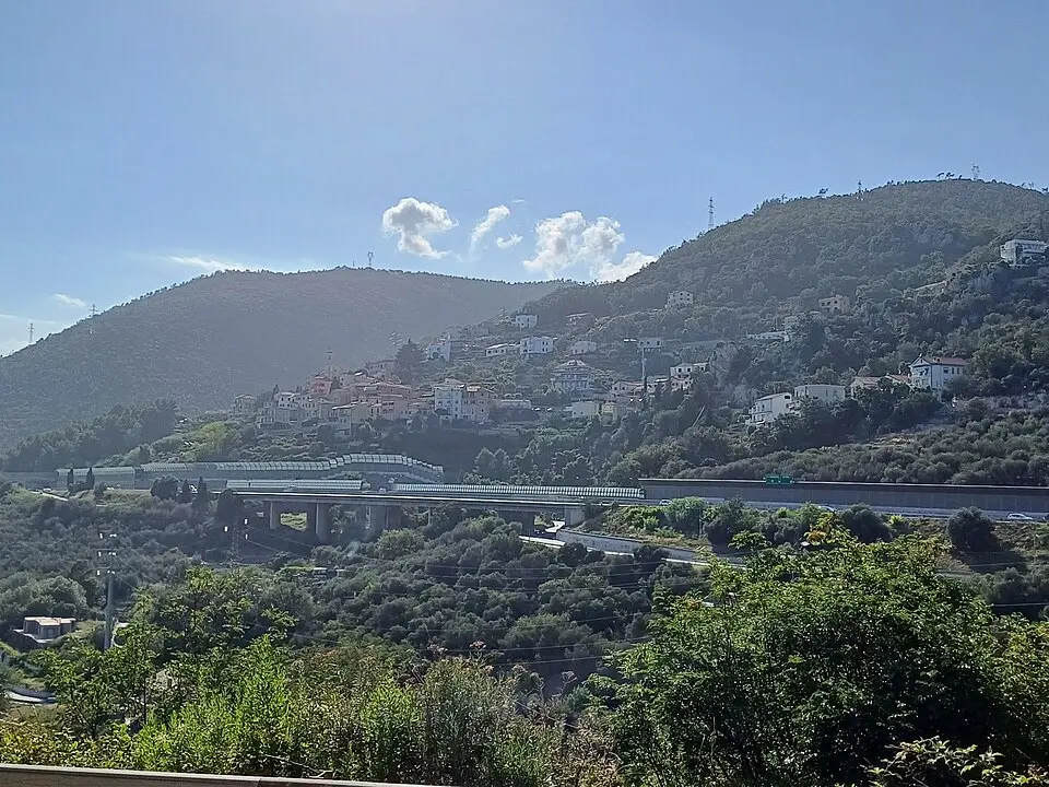 Ranzi