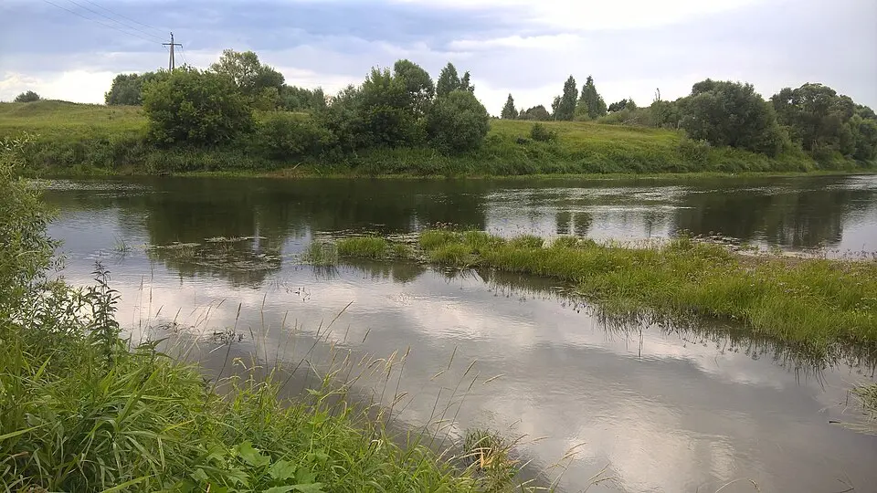 Rasasienka