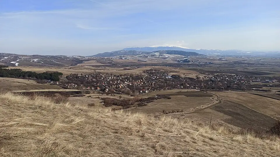 Расник