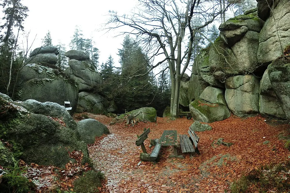 Neubauer Forst-Nord