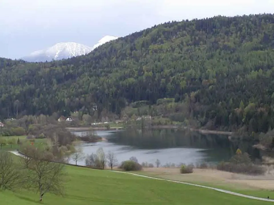 Rjavško jezero