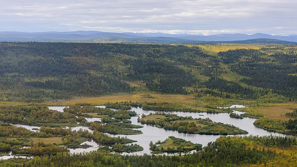 Rautas fjällurskog