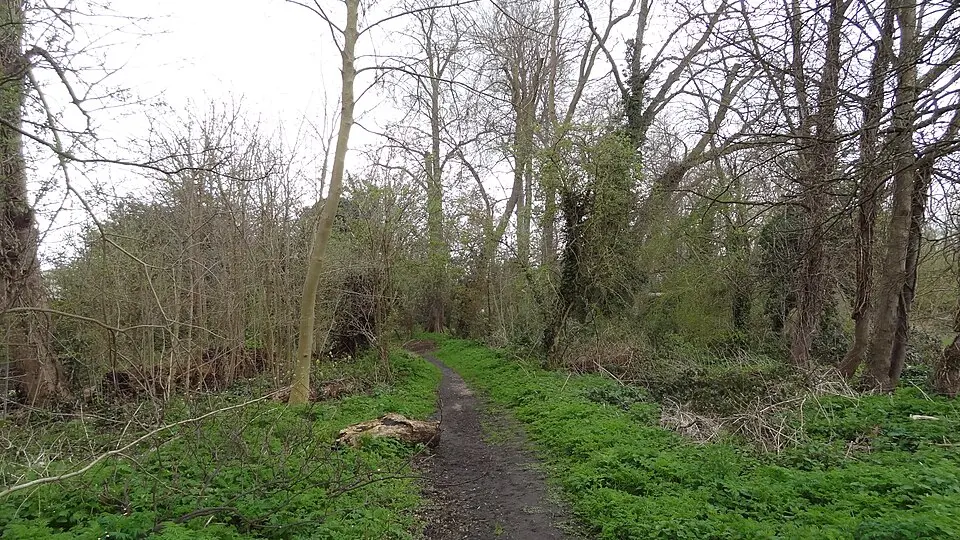 Ravensbury Park