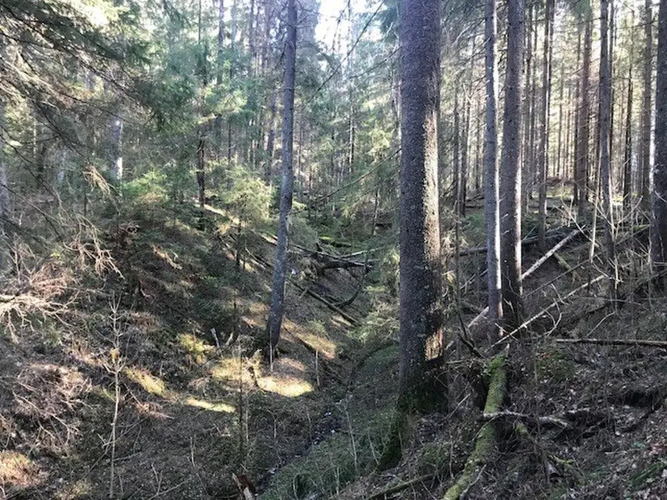 Lågabakkane