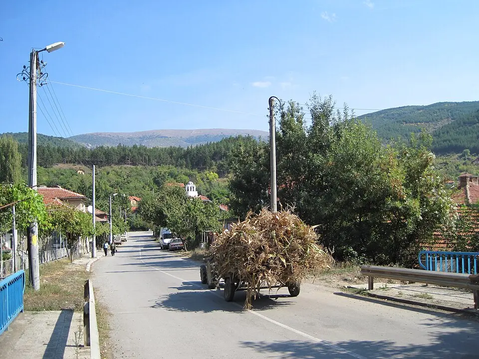 Раждавица